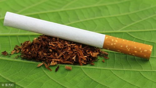 揭秘電子煙之王 IQOS真的可以很健康嗎？