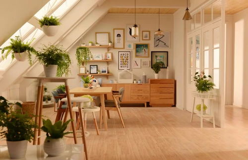 餐廳吊頂?shù)拿卦E 情人節(jié)無(wú)需去飯店，家里已經(jīng)夠浪漫