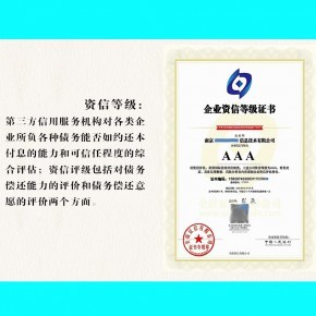 招投標(biāo)企業(yè)AAA級(jí)信用評(píng)級(jí) 國(guó)家認(rèn)可的正規(guī)資質(zhì)與信用評(píng)級(jí)服務(wù)